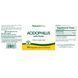 Ацидофільні бактерії з пектином, Acidophilus with Pectin, Natures Plus, 90 капсул