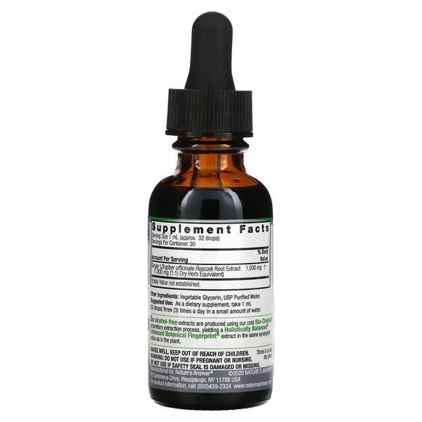 Имбирь, 1000 мг, экстракт корня без спирта, Ginger Root, Fluid Extract, Alcohol-Free, Nature's Answer, 30 мл
