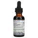 Имбирь, 1000 мг, экстракт корня без спирта, Ginger Root, Fluid Extract, Alcohol-Free, Nature's Answer, 30 мл