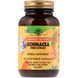 Ехінацея (Екстракт), Echinacea Herb Extract, Solgar, 60 вегетаріанських капсул