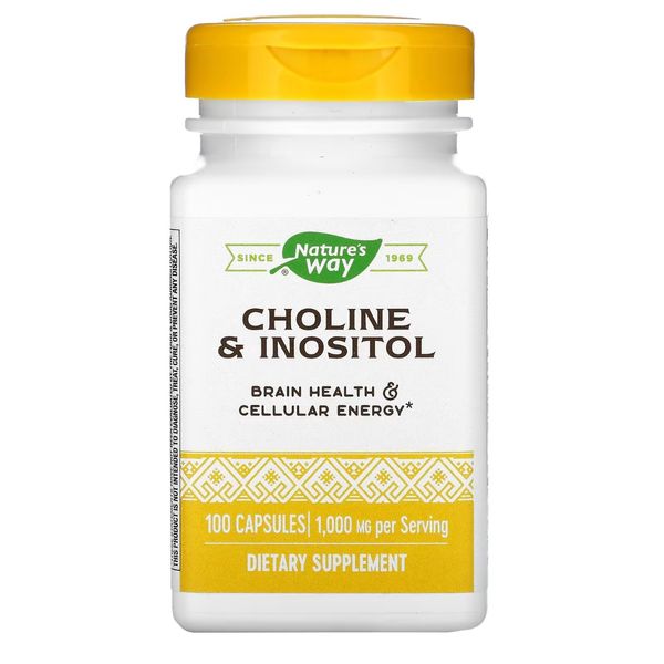 Холін та інозитол, 1000 мг, Choline & Inositol, Nature's Way, 100 капсул