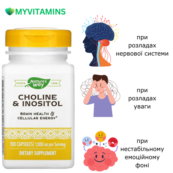 Холін та інозитол, 1000 мг, Choline & Inositol, Nature's Way, 100 капсул