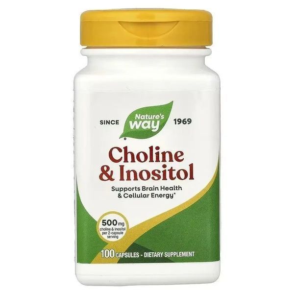 Холін та інозитол, 1000 мг, Choline & Inositol, Nature's Way, 100 капсул