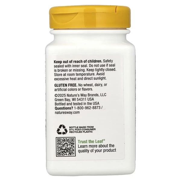 Холін та інозитол, 1000 мг, Choline & Inositol, Nature's Way, 100 капсул
