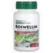 Босвелін, 300 мг, Boswellin, Herbal Actives, Natures Plus, 60 Вегетаріанських Капсул