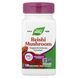 Грибы Рейши, Reishi, Standardized, Nature's Way, 376 mg, 100 Капсул