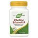 Холін та інозитол, 1000 мг, Choline & Inositol, Nature's Way, 100 капсул