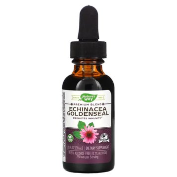 Ехінацея і Гідрастіс, Echinacea Goldenseal, Nature's Way, без спирту, 30 мл.