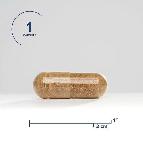 Бичача жовч, 500 мг, Ox Bile, Seeking Health, 100 капсул