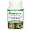 Здоров'я шлунка та кишківника, Gastro-Assist with Mastic Gum, Saccharomyces Boulardii & Zinc L-Carnosine, Natural Factors, 60 вегетаріанських капсул