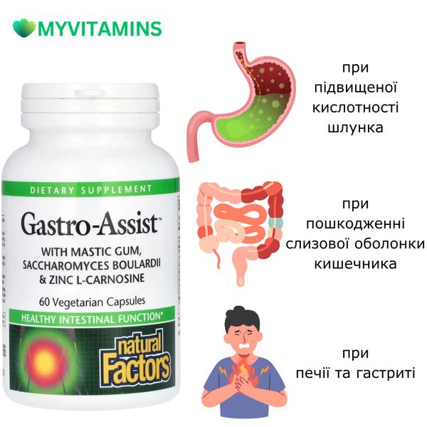 Здоров'я шлунка та кишківника, Gastro-Assist with Mastic Gum, Saccharomyces Boulardii & Zinc L-Carnosine, Natural Factors, 60 вегетаріанських капсул