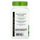 Готу Кола, Gotu Kola Herb, 950 mg, Nature's Way, 180 Капсул