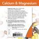 Кальцій і Магній, Calcium & Magnesium 2: 1 Ratio, Now Foods, 100 таблеток