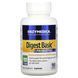 Ферменты с пробиотиками, Digest Basic + Probiotics, Enzymedica, 90 капсул