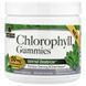 Хлорофилл, вкус мяты, Chlorophyll Gummies, Nature's Answer, 60 жевательных конфет