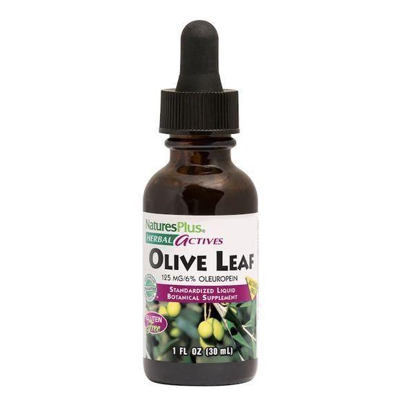 Листя оливи, екстракт у краплях без спирту, Olive Leaf, Natures Plus, 30 мл