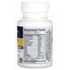 Ферменти з пробіотиками, Digest + Probiotics, Enzymedica, 30 капсул