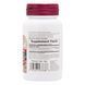 Екстракт Кореня Женьшеня 1000мг, Herbal Actives, Natures Plus, 30 таблеток