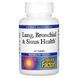 Здоровье дыхательных путей, Lung, Bronchial & Sinus Health, Natural Factors, 45 таблеток
