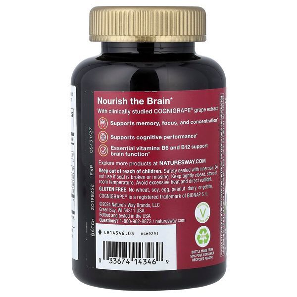 Поддержка памяти и концентрации, вкус винограда, Brain Fuel, Nature's Way, 60 жевательных конфет