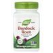 Корінь Лопуха, Burdock Root, Nature's Way, 475, 100 капсул