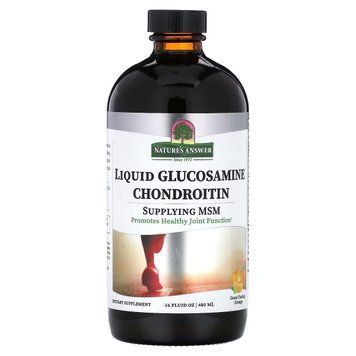 Глюкозамин-хондроитин жидкий, вкус апельсина, Liquid Glucosamine Chondroitin, Nature's Answer, 480 мл