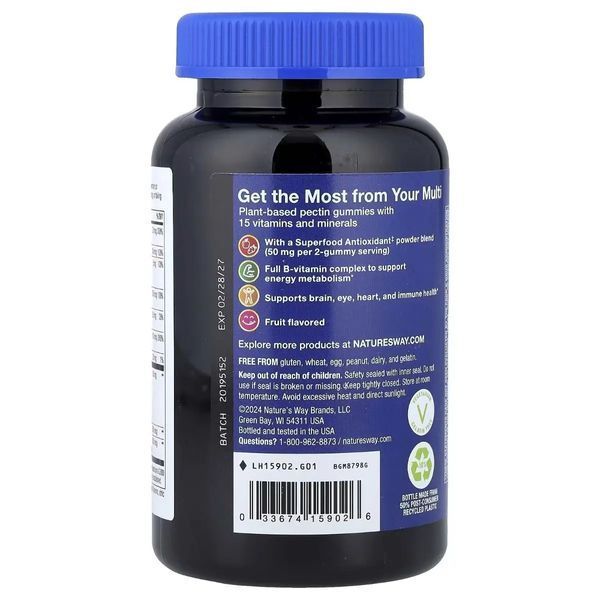 Мультивітаміни для чоловіків 50+, смак фруктів, Alive! Men's 50+ Multivitamin Gummy, Nature's Way, 60 жувальних цукерок