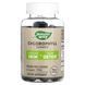 Хлорофіл, 100 мг, смак фруктів, Chlorophyll Gummies, Nature's Way, 60 жувальних цукерок