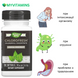Хлорофіл концентрат, Chlorophyll Concentrate, Nature's Way, 90 гелевих капсул
