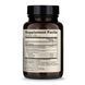 Органічний гриб Чага, Organic Chaga Mushroom, Dr. Mercola, 30 таблеток