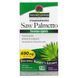 Со Пальметто, 690 мг, Saw Palmetto, Standardized, Nature's Answer, 120 вегетарианских капсул