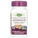 Астрагал, премиум экстракт, Astragalus, Premium Extract, Nature's Way, 60 вегетарианских капсул