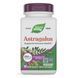 Астрагал, преміум екстракт, Astragalus, Premium Extract, Nature's Way, 60 вегетаріанських капсул