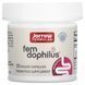 Пробіотики Для Жінок, Жіночий дофілус, 5 млрд КУО, Women's Fem Dophilus, Jarrow Formulas, 30 вегетаріанських капсул