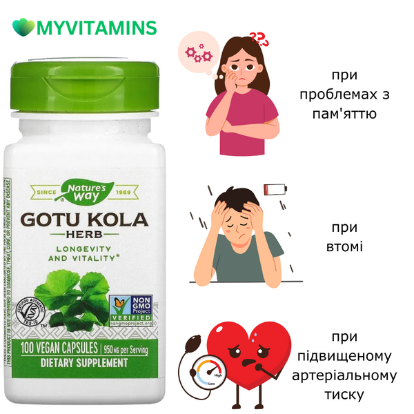 Готу Кола, 950 мг, Gotu Kola, Nature's Way, 100 вегетарианских капсул