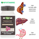 Расторопша Экстракт, Thisilyn, Milk Thistle, Liver Support Formula, Nature's Way, 100 вегетарианских капсул