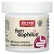 Пробіотики Для Жінок, Жіночий дофілус, 1 млрд КУО, Women's Fem Dophilus, Jarrow Formulas, 60 вегетаріанських капсул