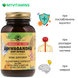Ашваганда (Екстракт Кореня), Ashwagandha Root Extract, Solgar, 60 капсул