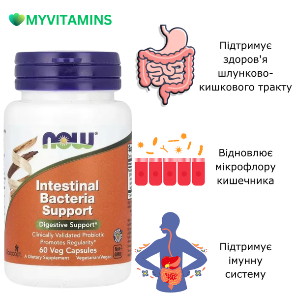 Поддержка бактерий кишечника, Intestinal Bacteria Support, Now Foods, 60 вегетарианских капсул