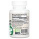 Мастикова смола, 500 мг, Mastic Gum, Jarrow Formulas, 60 вегетаріанських капсул