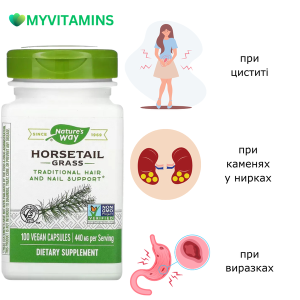 Хвощ польовий, Nature's Way, 440 мг, 100 вегетаріанських капсул