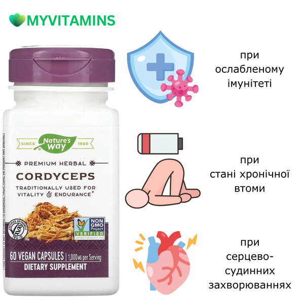Кордицепс, 500 мг, Cordyceps, Nature's Way, 60 вегетарианских капсул