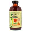 Жидкие Мультивитамины для Детей, Вкус Апельсин-Манго, Multi Vitamin & Mineral, ChildLife, 237 мл